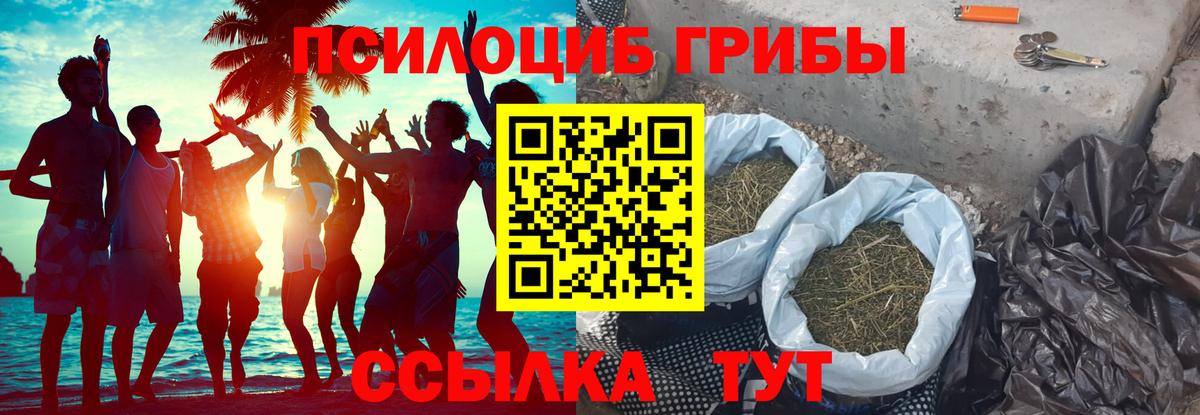 Псилоцибиновые грибы мицелий  Вход с VPN  Галлюциногенные грибы мухоморы  Шелехов 